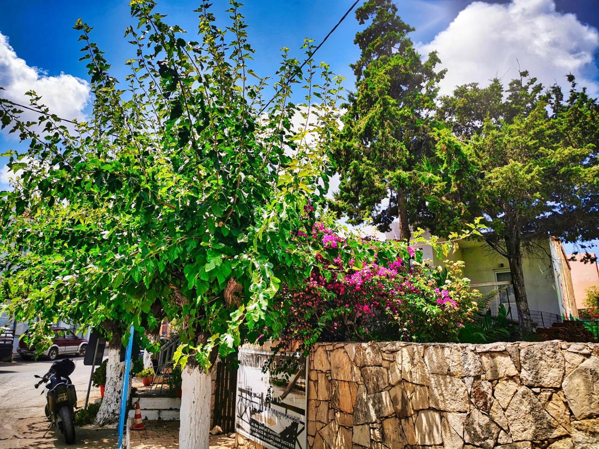 Ble Residence, Your Home Away From Home Pánormos Exterior foto